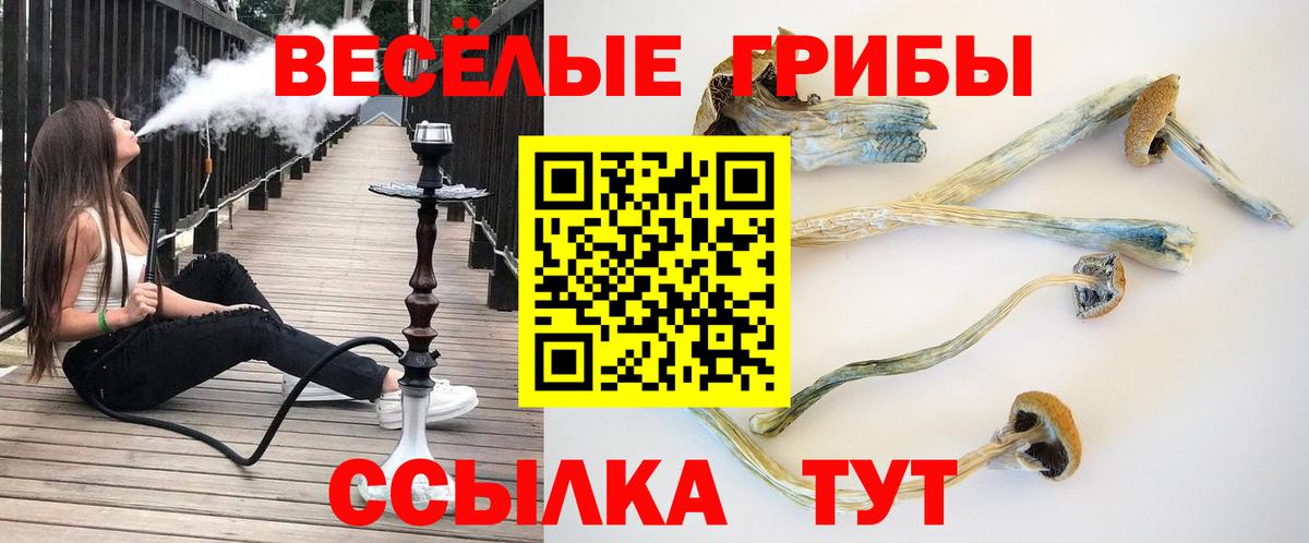 Псилоцибиновые грибы GOLDEN TEACHER Каменка