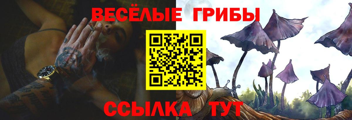 Псилоцибиновые грибы Magic Shrooms  Галлюциногенные грибы Magic Shrooms  Каменка  Вход с VPN 